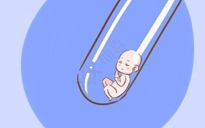 安胎水果