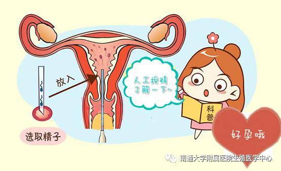 家庭孕育新生命