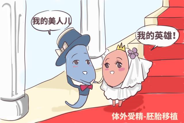 宝宝出生欢迎新成员